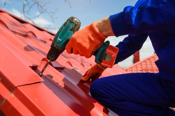 Metal Roof Care